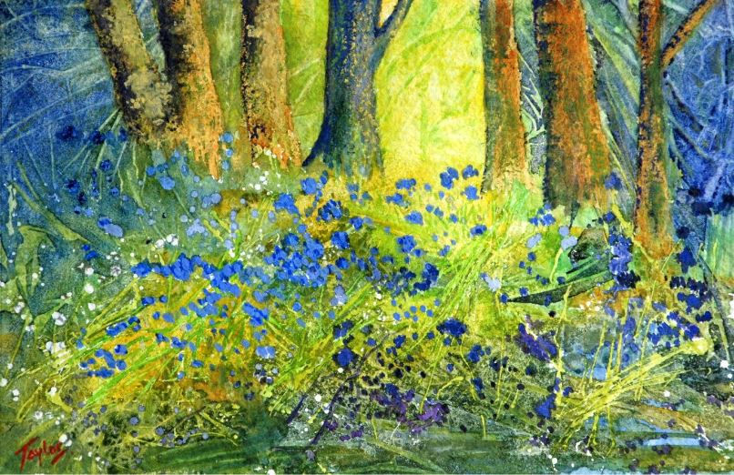 John Taylor, Anemones and Bluebells