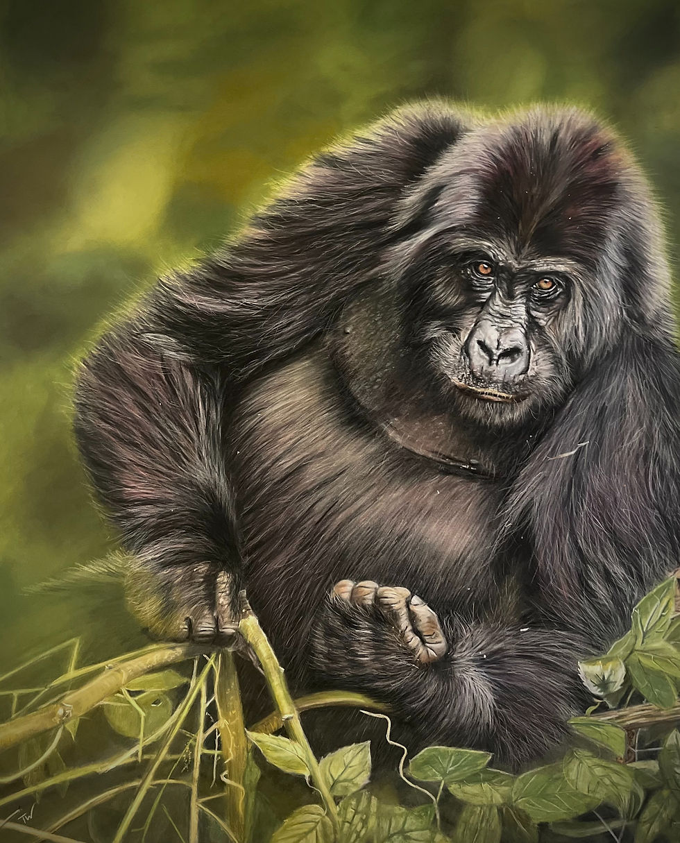 Tracey Walder 'Verdant Stare' 50 x 70cm