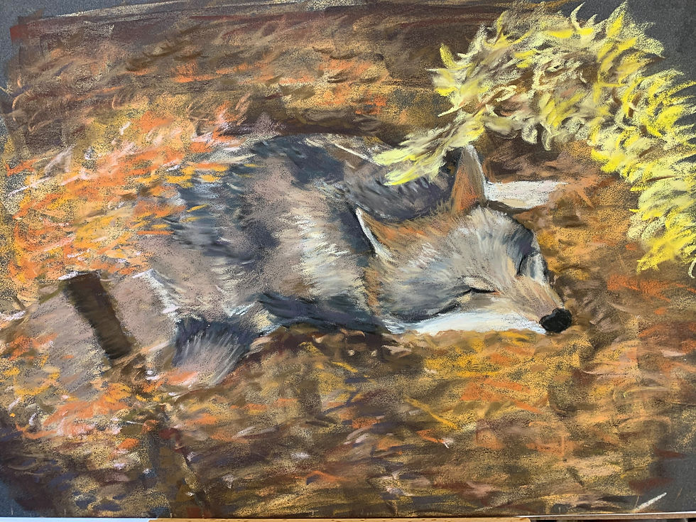 Chantal Delessert, Grey Wolf,30x40cm