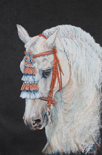 Iris Brown, Conversano VII, 74x53cm