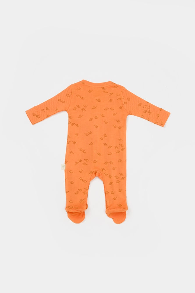 الصورة المصغرة: 2 Pcs  Footed Rompers
