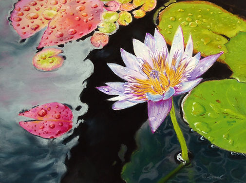 Finished photo Waterlily.jpg
