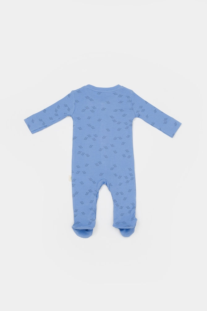 Küçük resim: 2 Pcs  Footed Rompers