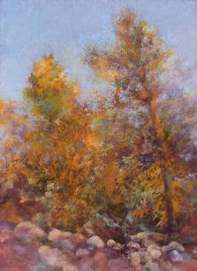 Francoise Guillaume, Arbres en lumiere, 52x62cm.jpg