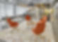 Alfombras modulares FLOR en espacio corporativo