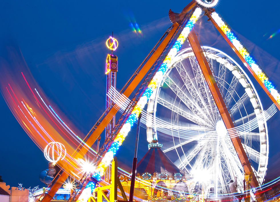 I Parchi Divertimento in Italia - Trend e Target