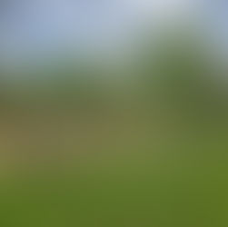 Making Wellness Accessible to All