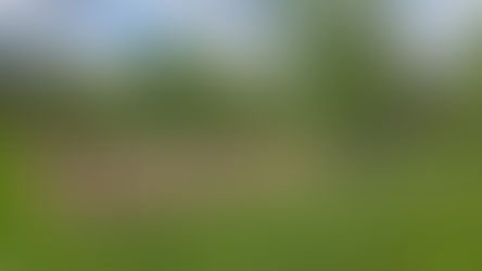 Making Wellness Accessible to All