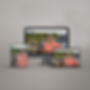 Website Example Handyman SQUARE.png