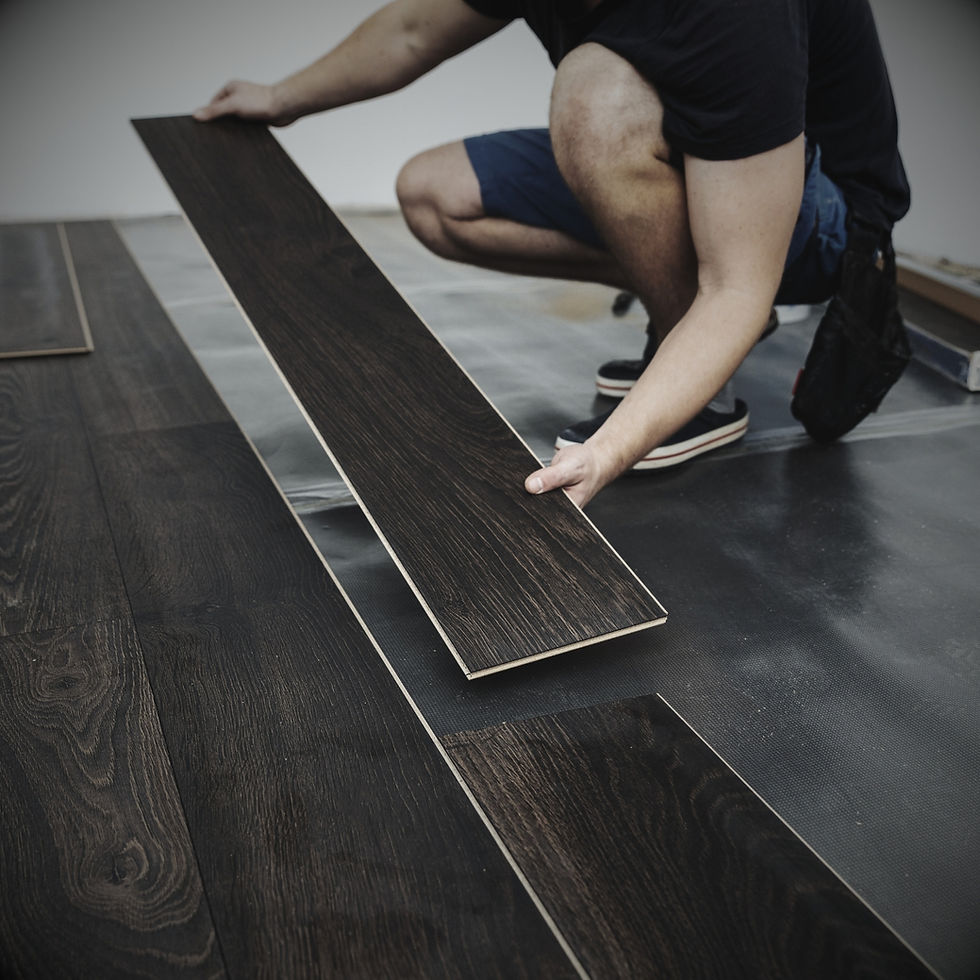 Pink Oyster Mushrooms