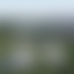 GIỮA DÒNG CHẢY CỦA NƯỚC VÀ ÁNH SÁNG: KHI KIẾN TRÚC BIẾT ÔM ẤP