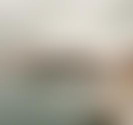 Cây cầu 37 mét tại Biennale: Norman Foster Foundation và Porsche thắp sáng kênh đào Venice bằng giấc mơ điện và thiết kế tuần hoàn