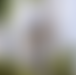 CapitaSpring — Khi rừng nhiệt đới mọc thẳng đứng giữa trung tâm tài chính Singapore