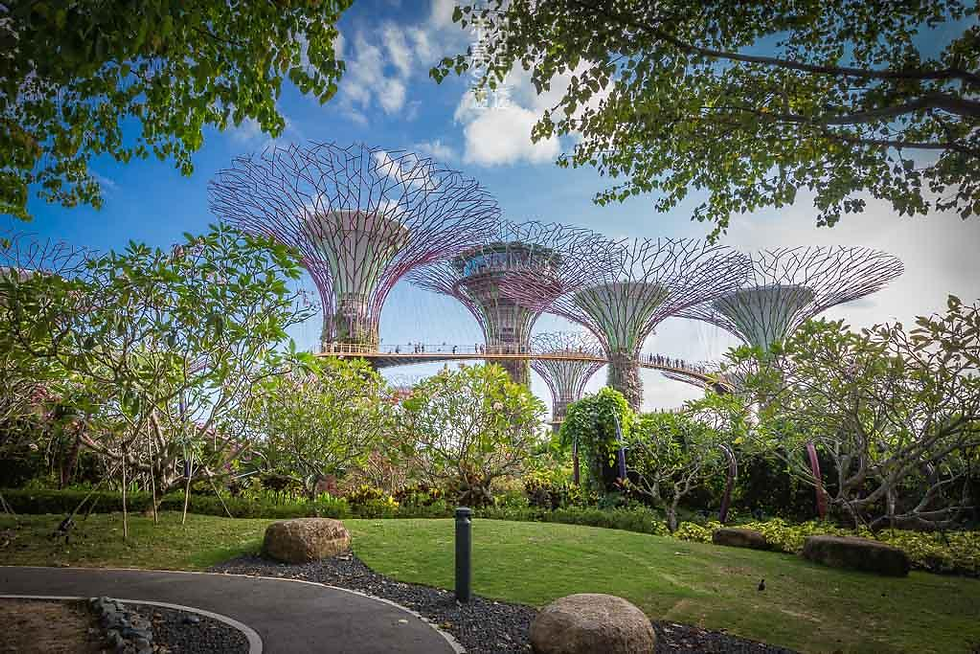 Supertrees tại Gardens by the Bay ở Singapore – ví dụ tiêu biểu của kiến trúc Biomorphism lấy cảm hứng từ thực vật.