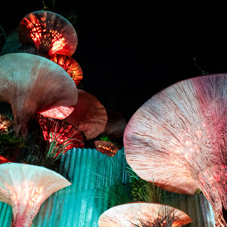 7 công trình kiến trúc và thiết kế không thể bỏ lỡ tại Glastonbury 2025