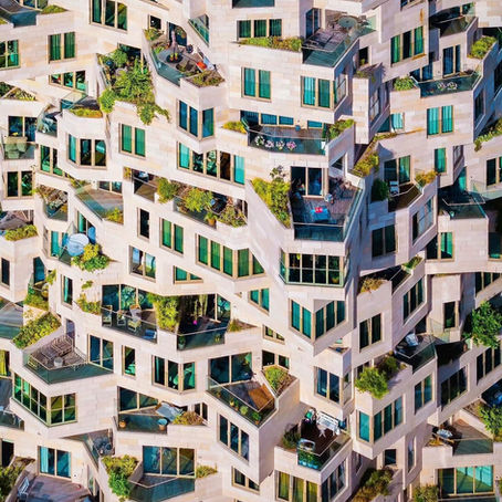 VALLEY AMSTERDAM: Thung Lũng Đá Cuộn Trào Sức Sống Giữa Rừng Bê Tông Tráng Gương