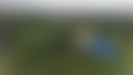 House Under the Hill – khi kiến trúc chọn biến mất để được ở lại