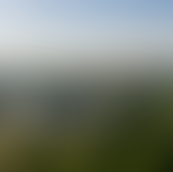 Từ trường đua ngựa đến thiên đường đi bộ – Masterplan mới của BIG tại Dubai