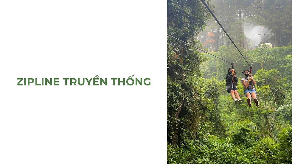 Trải nghiệm mạo hiểm với hệ thống Roller Coaster Zipline kết hợp tàu lượn siêu tốc băng qua rừng thông xanh tại Khu sinh thái Đa Nhim.