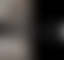 Parametric Intelligence – Studio Tim Fu