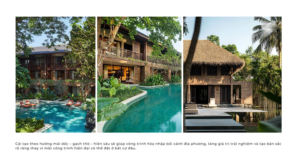 Cải tạo kiến trúc Homestay với mái dốc, gạch thô và khoảng hiên sâu hòa nhập vào bối cảnh di sản thiên nhiên.