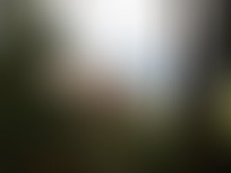 Perspectives – Khi kiến trúc vừa là nơi trú ẩn vừa là kho ký ức cộng đồng