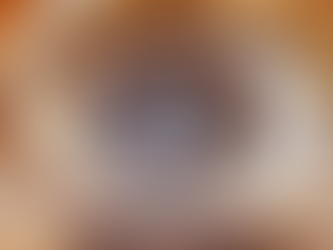 Experimentarium - CEBRA