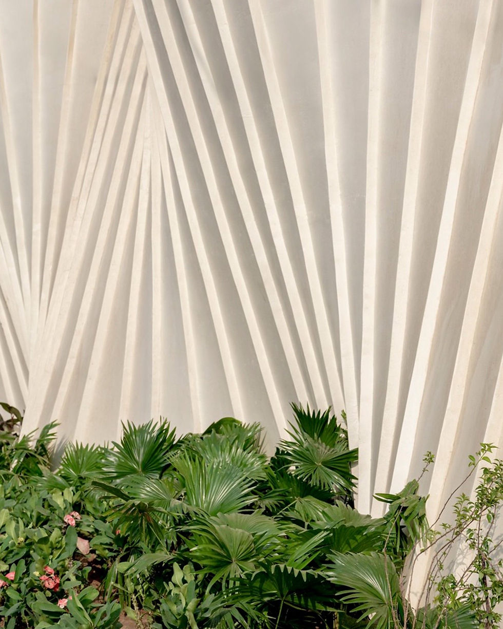 VŨ ĐIỆU CỦA NHỮNG ĐƯỜNG CONG VÀ SỰ GIẢI PHÓNG CỦA CẤU TRÚC