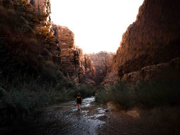 Alles wat je moet weten over de Wadi Mujib trail