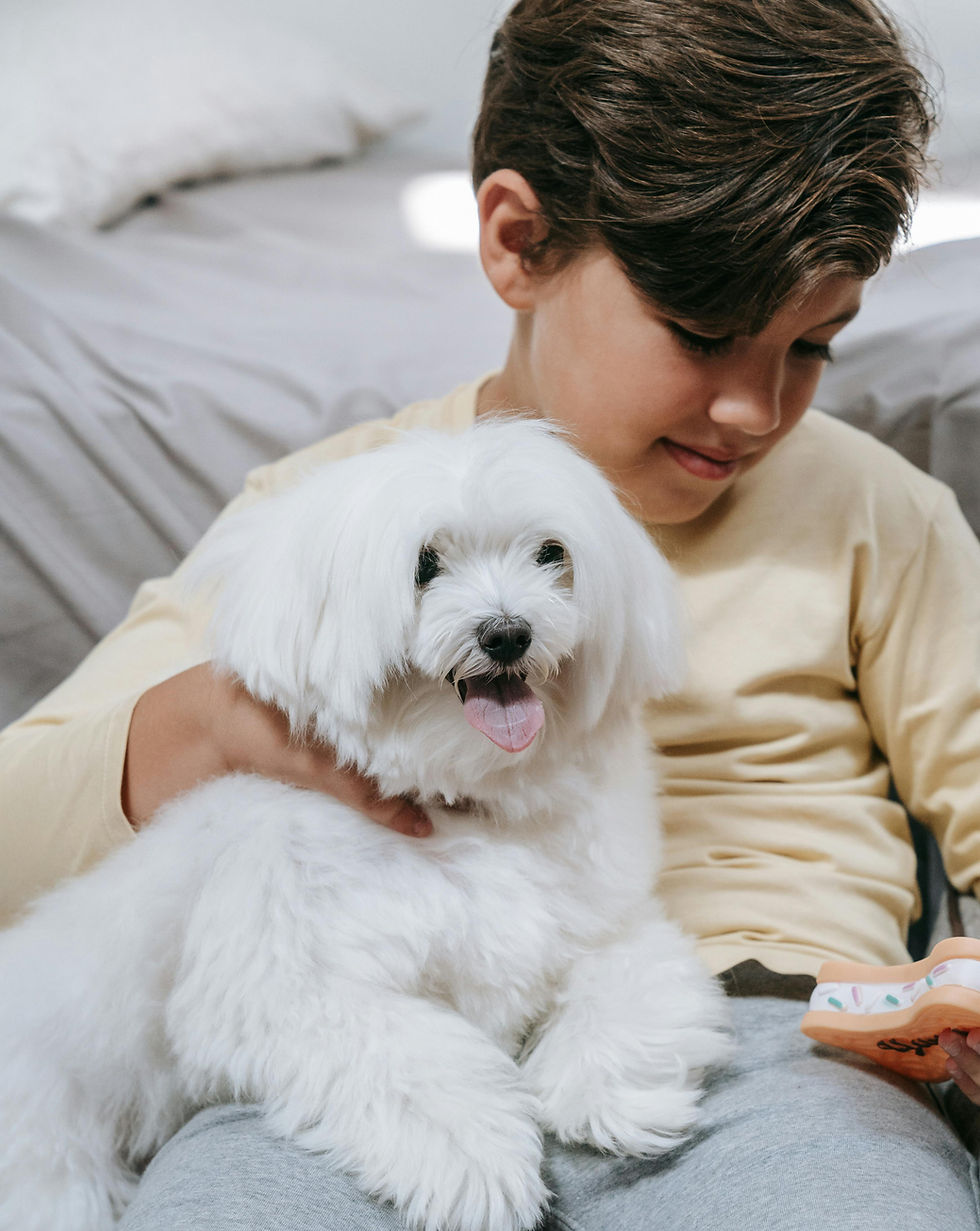In this photo, the dog’s body language tells a very different story: the posture is relaxed, the body looks loose and comfortable, and the dog is happily resting on the child’s lap. The open mouth and visible tongue here don’t signal stress—they’re part of a calm, content expression.