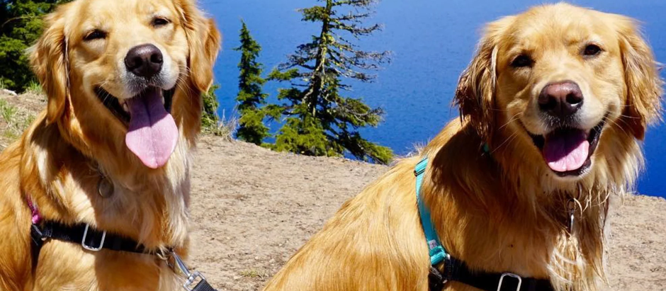 New Brand Partnerships & Recommended Training Gear