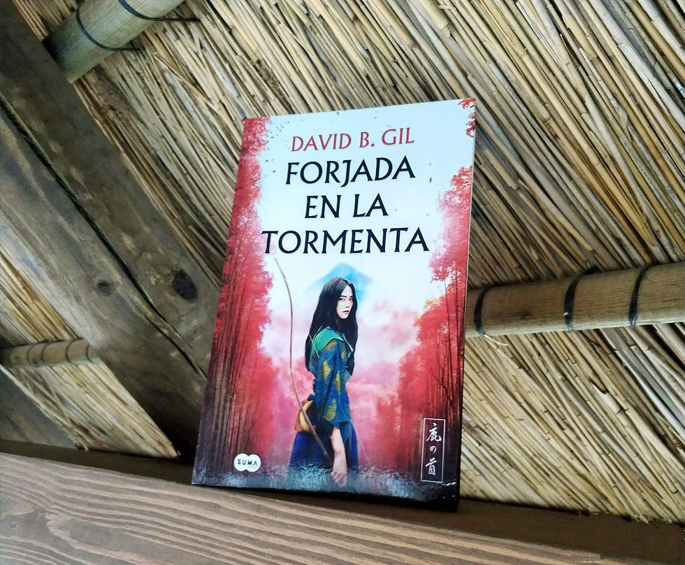 Imagen de la portada de la novela Forjada en la tormenta