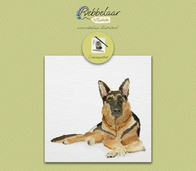 Dierenportret van waterverf. Herdershond