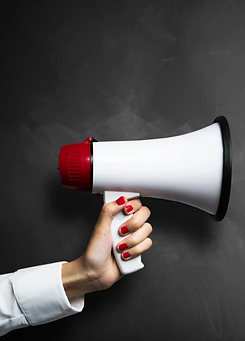 Screen Shot 2022-06-13 at 9.16.23 PM.png