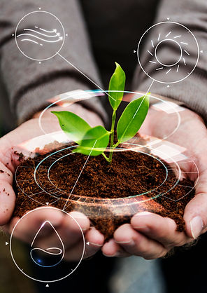 smart-agriculture-iot-with-hand-planting-tree-background.jpg