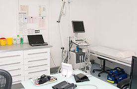 IMG_1513_500.jpg