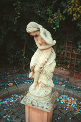 IMG_7356.jpg
