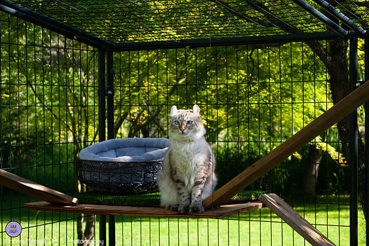 DSC_0294.jpg