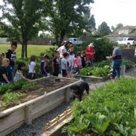 raised bed workshop.jpg