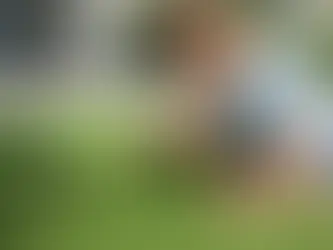 Guia de grama sintética 12mm para escolher bem