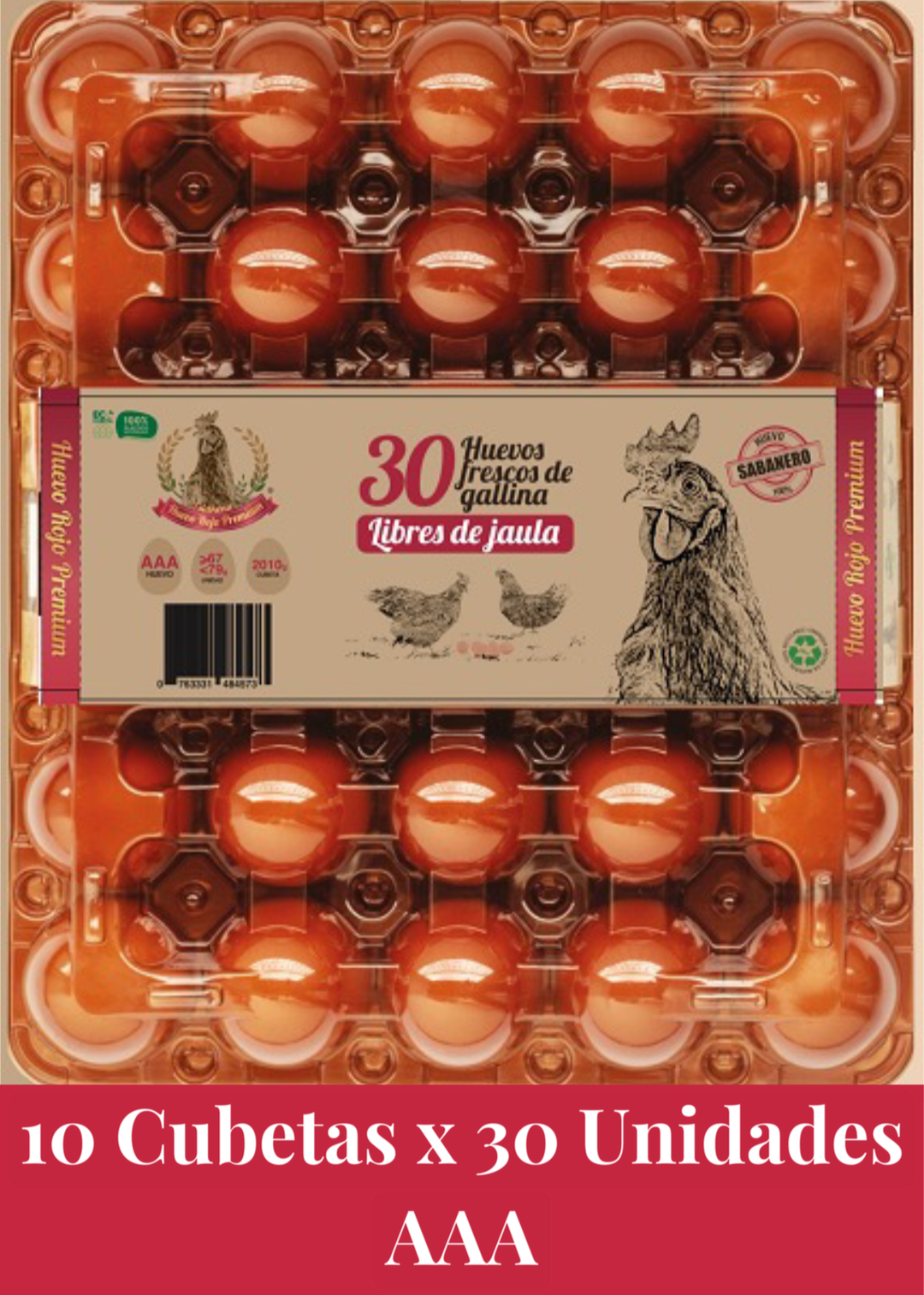 10 Estuches Premium x 30 unds AAA (300 unidades)