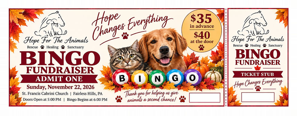 HFA_Bingo_UPrinting_CLEAN_5.75x2.25_Bleed_300dpi.jpeg