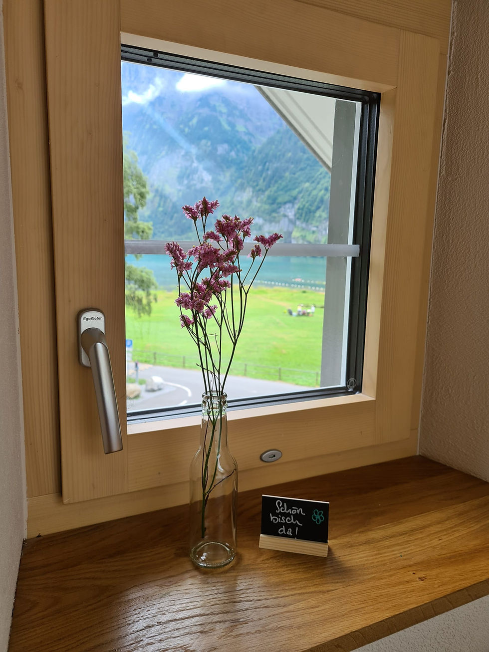 Miniaturbild: Package Sternen-Zimmer