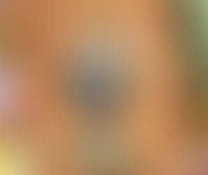 atelier nutrition au lycée Sonny Rupaire