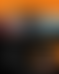 Cérémonie de remise des prix