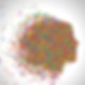 Customer Focus.png