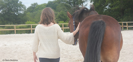 pourquoi le cheval.jpg