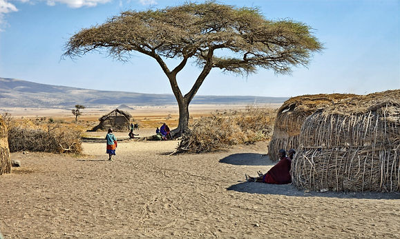 Dimbwiii Maasai house(house)_edited.jpg