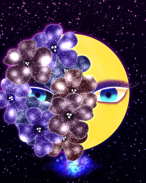cspcontest28.png