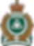Delta Police Logo.png